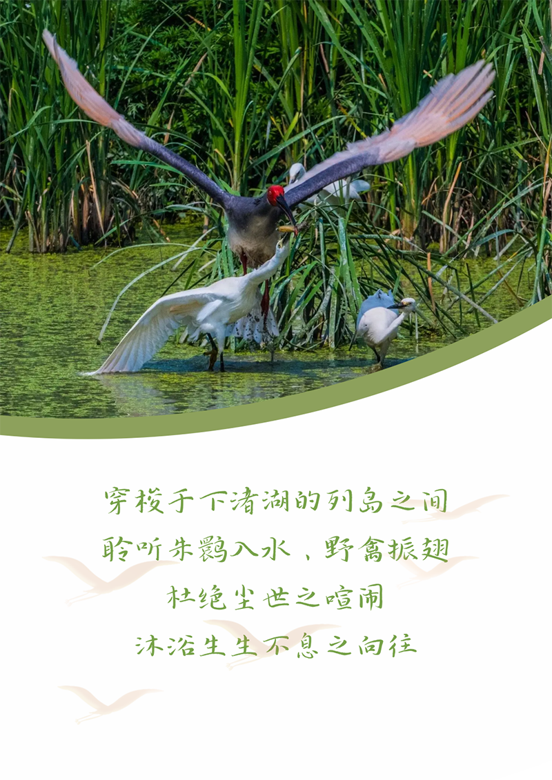 心心念廿 相伴尊龙凯时 | 与德清相约 贺廿载诞辰